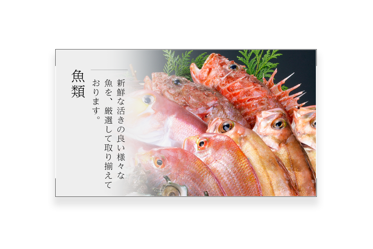 魚類