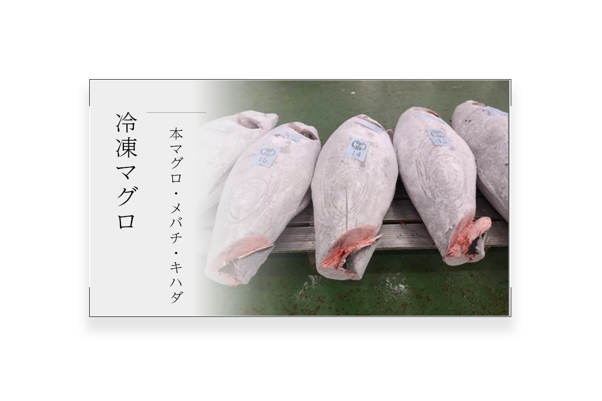 冷凍マグロ