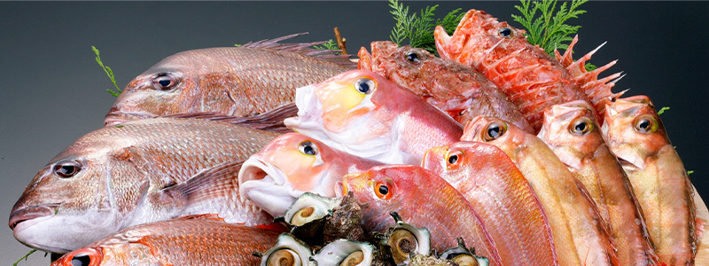 生鮮食品