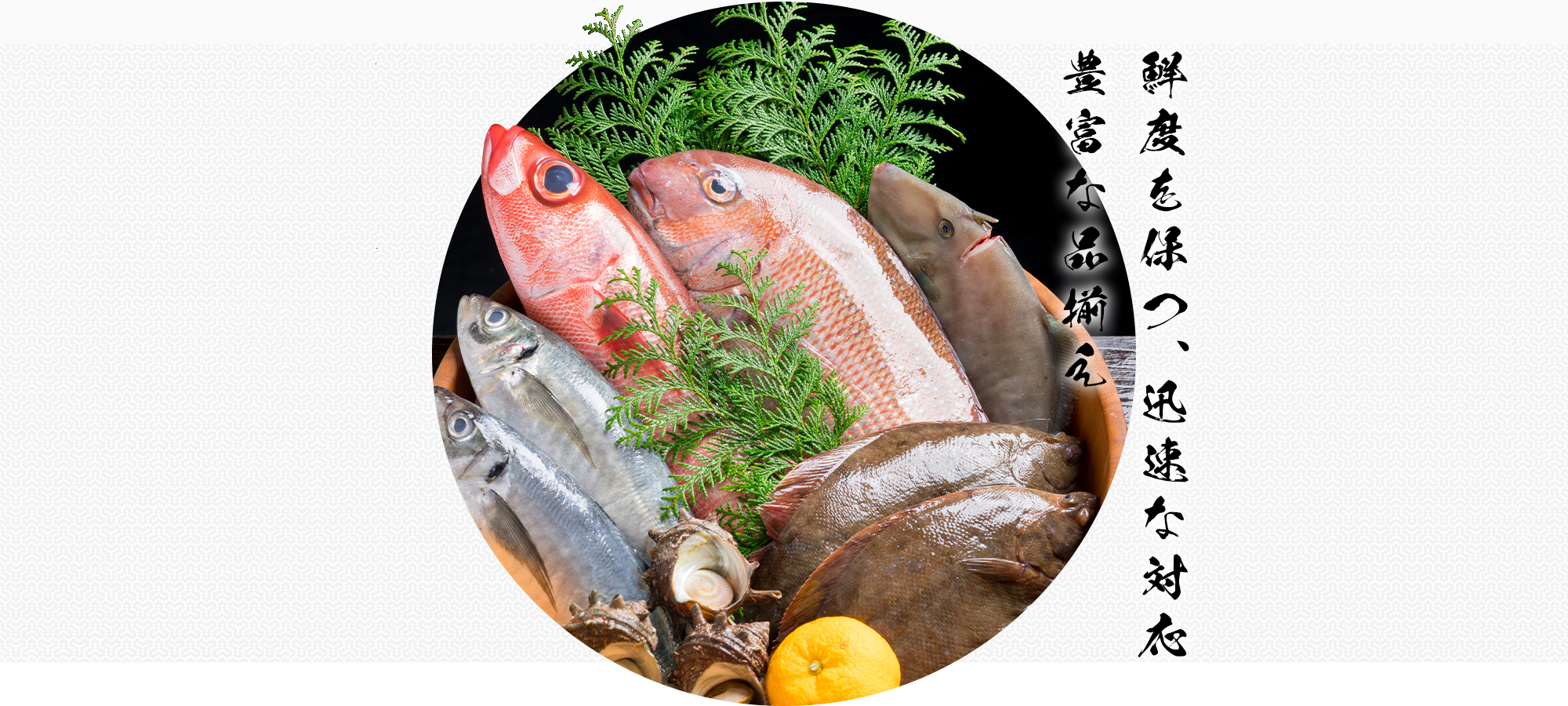 鮮度を保つ、迅速な対応　豊富な品揃え